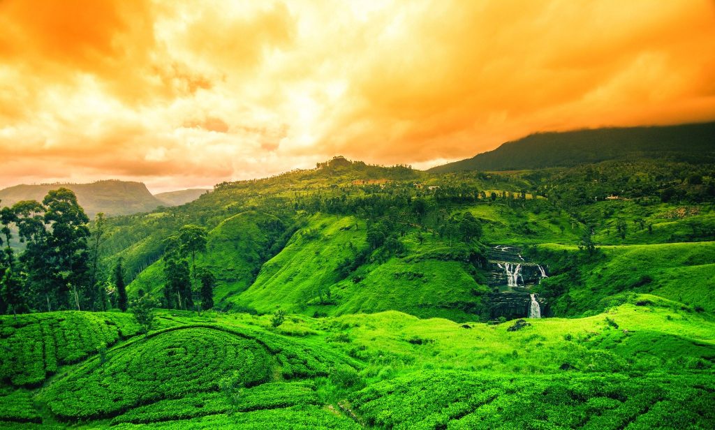 Sri Lanka Named World’s Top Island by&nbsp;EnjoyTravel