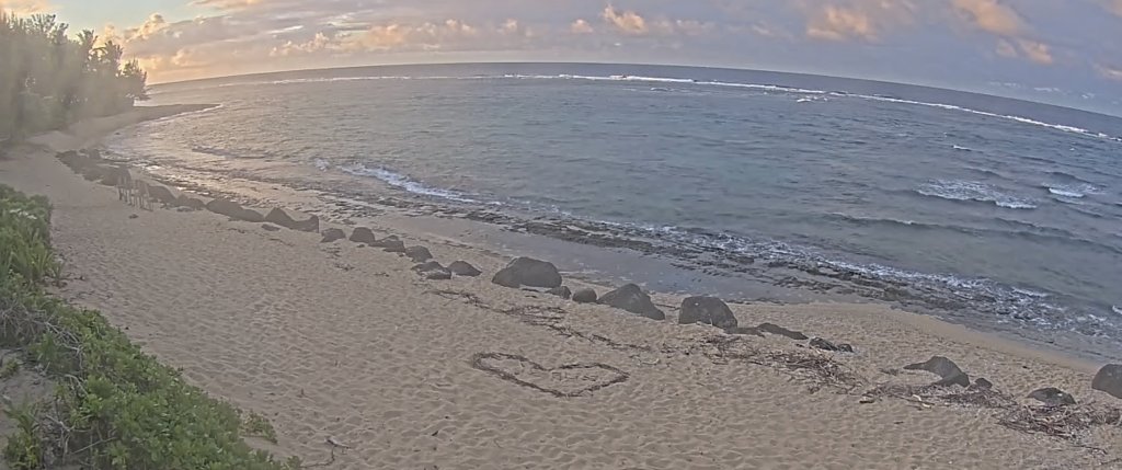 Tsunami-Level Waves Hit Parts of Hawaii After Massive&nbsp;Earthquake