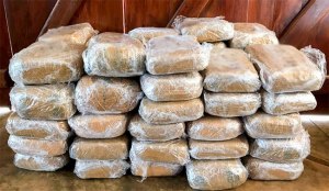 Sri Lanka Navy Seizes Over 110 Kilograms of Kerala Cannabis in Talaimannar