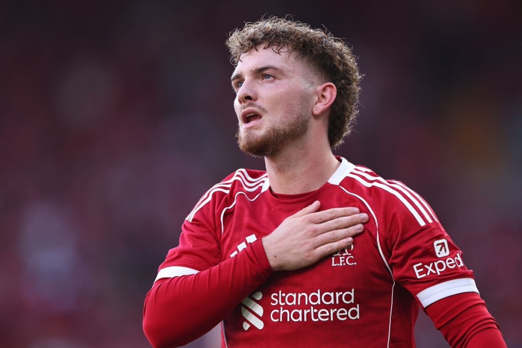 RB Leipzig Begin Talks with Liverpool Over Harvey Elliott Move as Club Seeks Xavi Simons&nbsp;Replacement