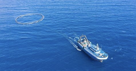 Mediterranean Fishermen Warn of ‘Continuous Destruction’ as Plastic, Overfishing and Climate Threats&nbsp;Mount